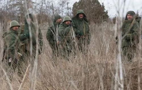 Мародери в армії РФ: під Бєлгородом пограбовано свиноферму